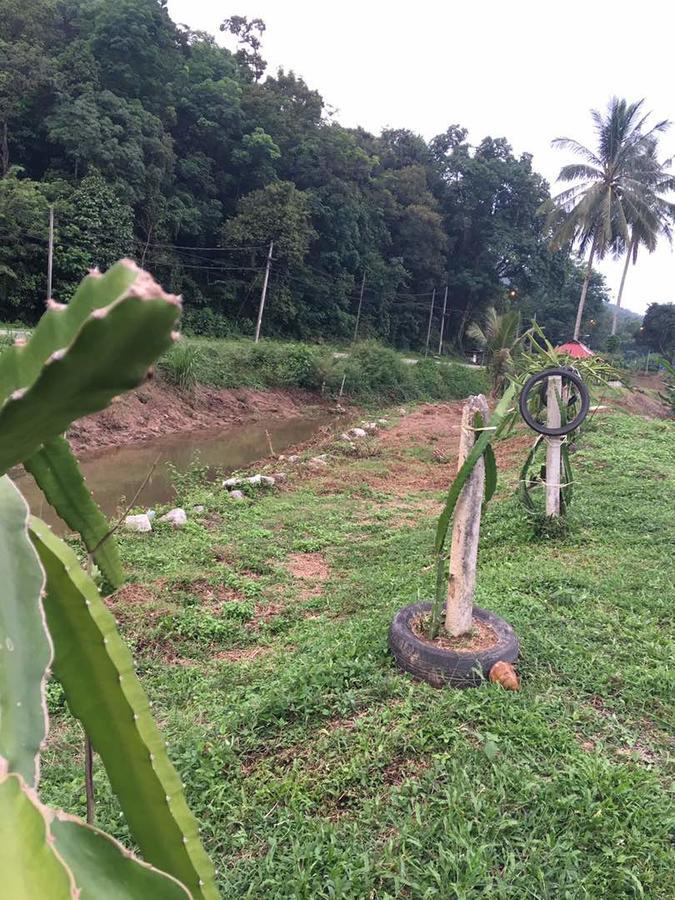 Panorama Homestay Jeram  エクステリア 写真